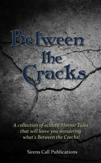 BetweenTheCracks_Promotional_800px